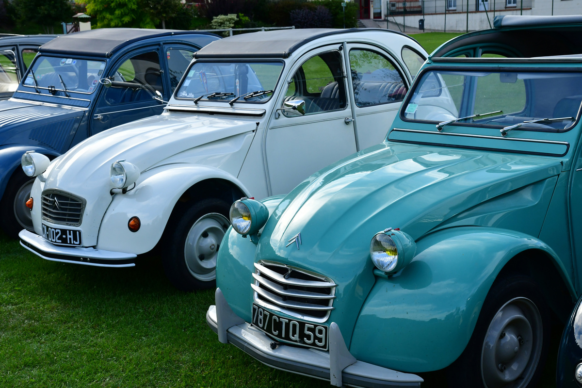 Réfection de Méharis et 2 CV
